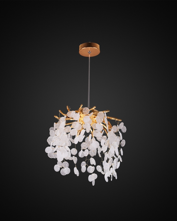 Product 25155