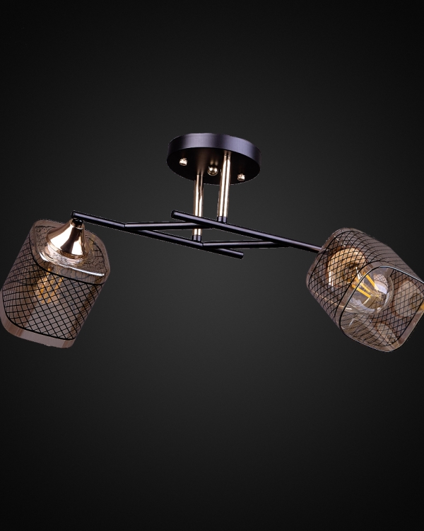 Product 25179
