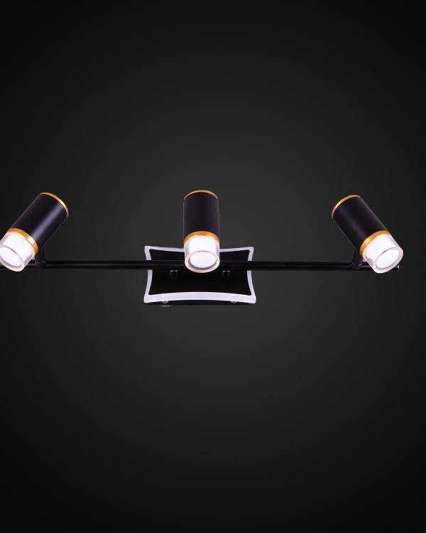 Product 25239