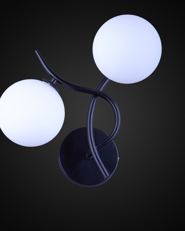 Product 25495