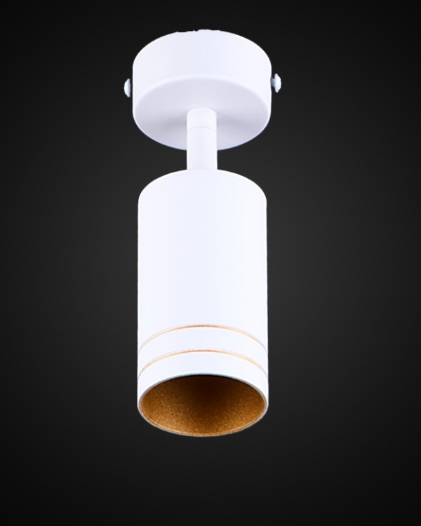 Product 25608