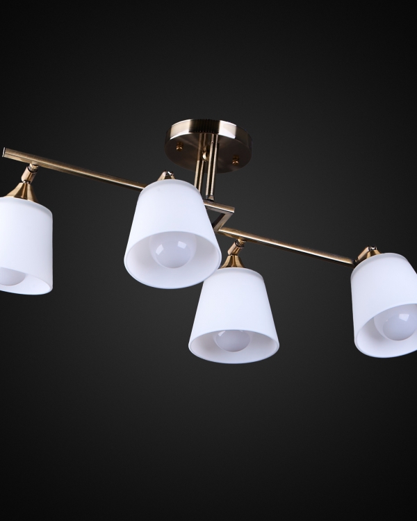 Product 25685