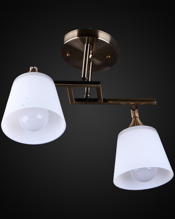 Product 25686