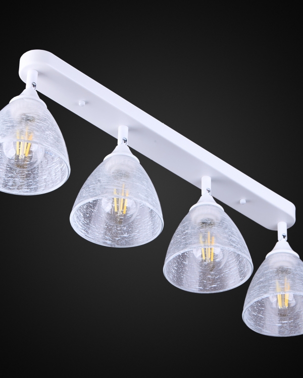 Product 25721