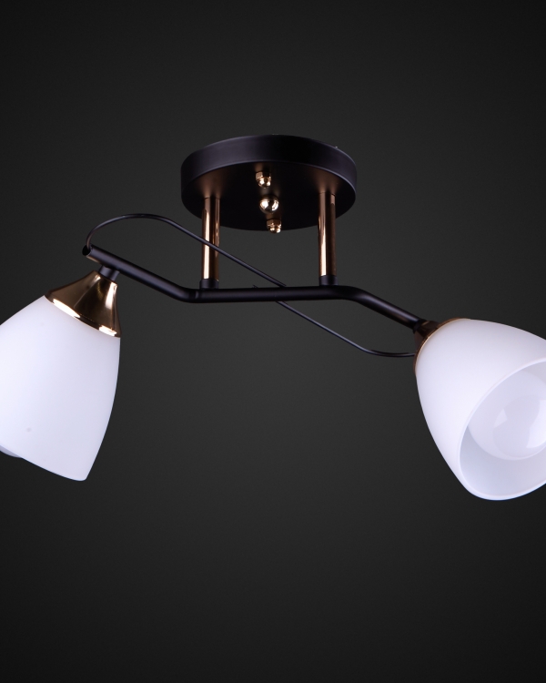 Product 25761