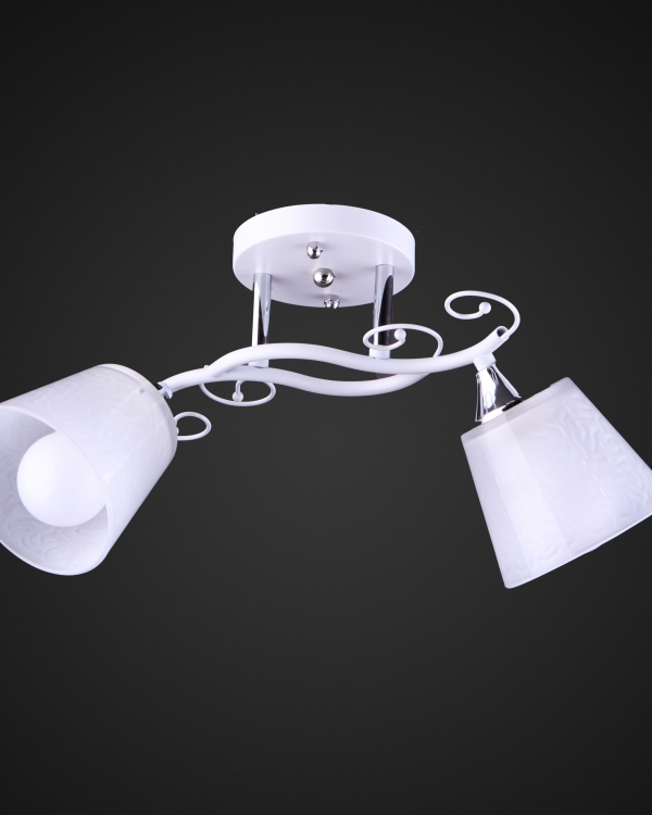 Product 25772