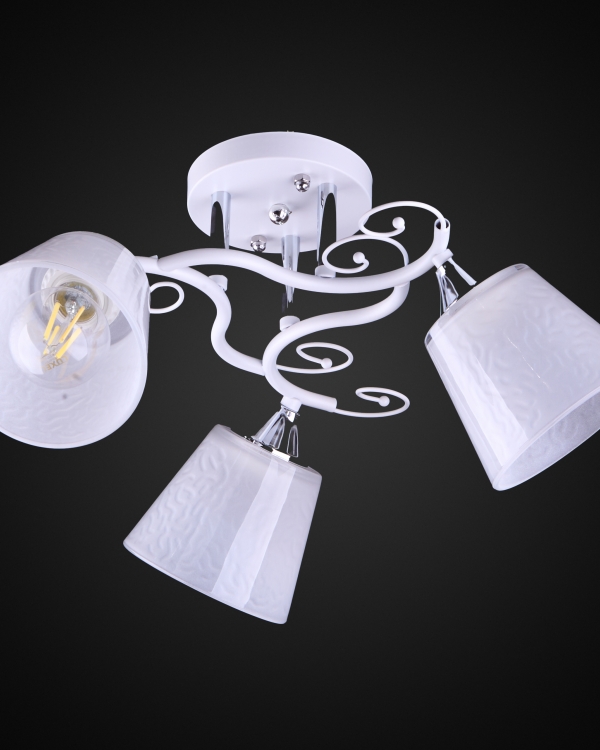 Product 25773