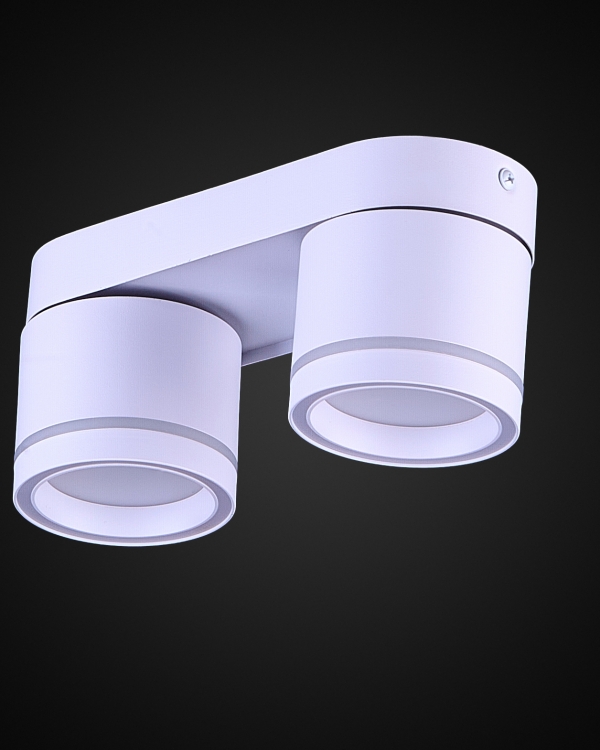 Product 25901