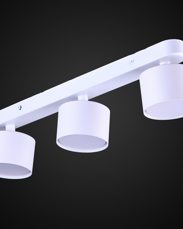 Product 25905
