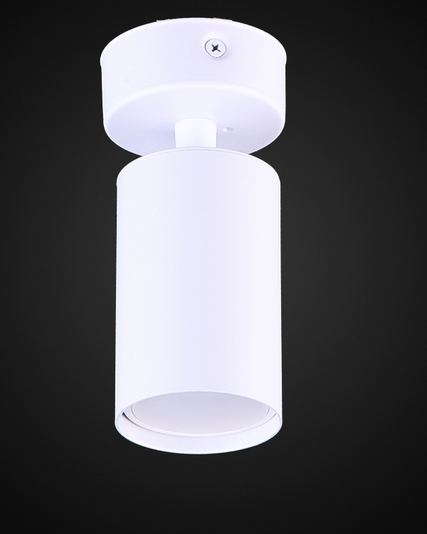 Product 25919