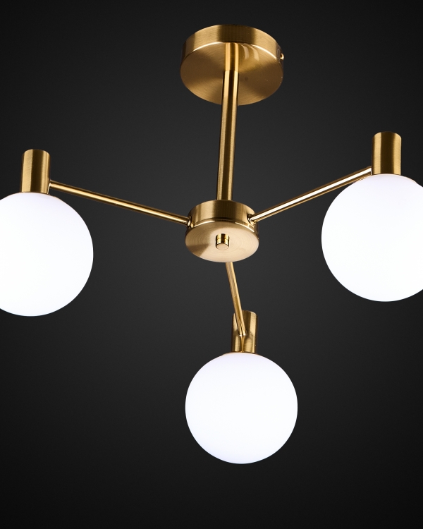 Product 25955