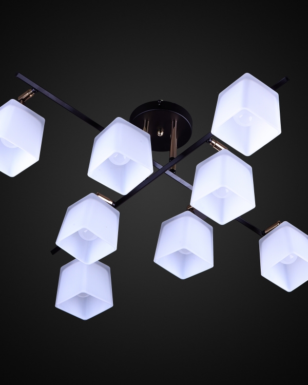 Product 26005