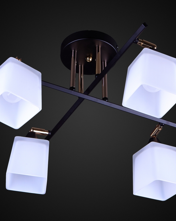 Product 26006
