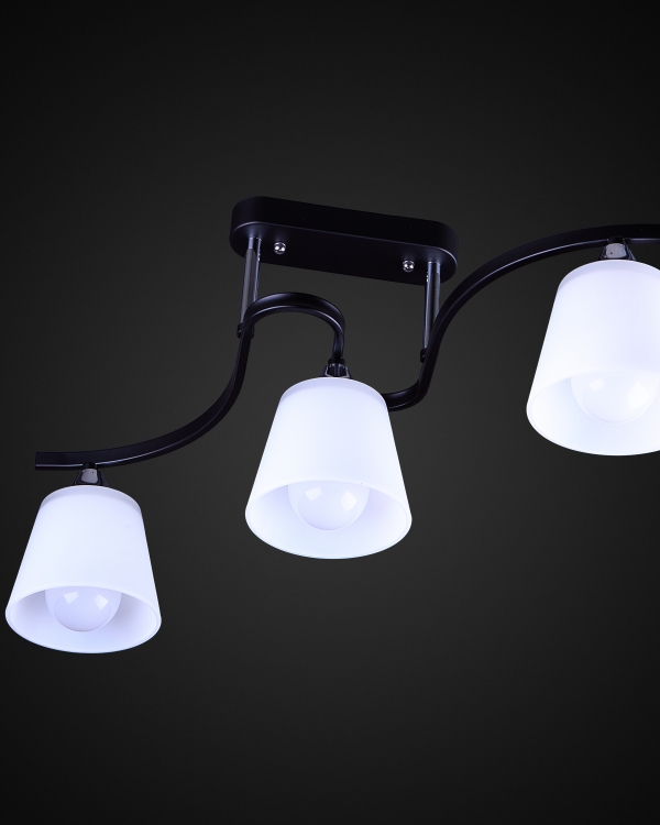 Product 26013