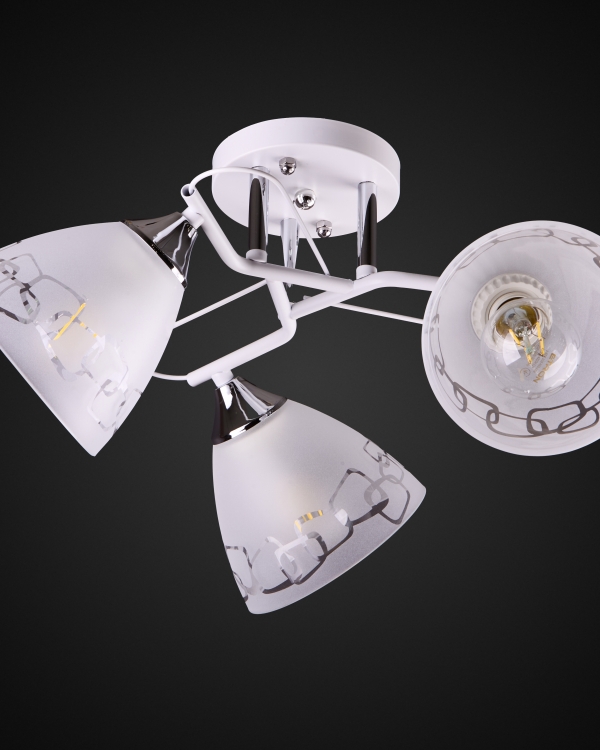 Product 26171