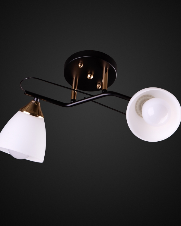 Product 26173