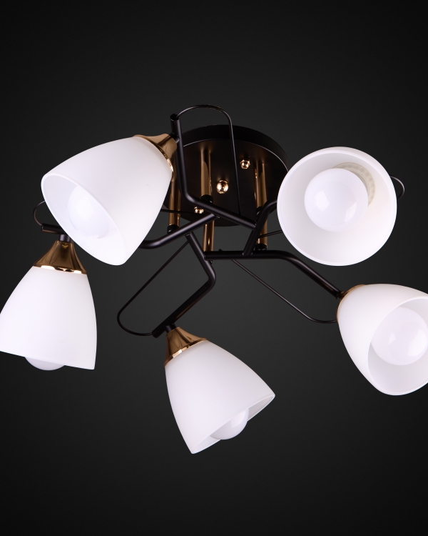 Product 26174
