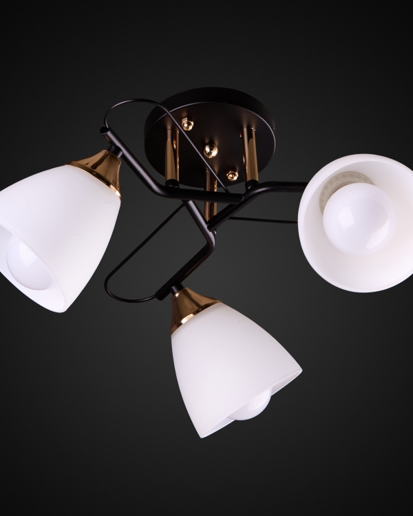 Product 26175