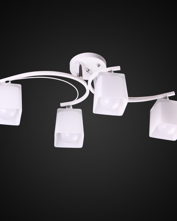 Product 26177